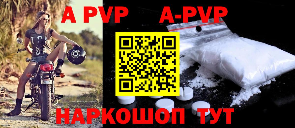 A PVP СК КРИС Алатырь