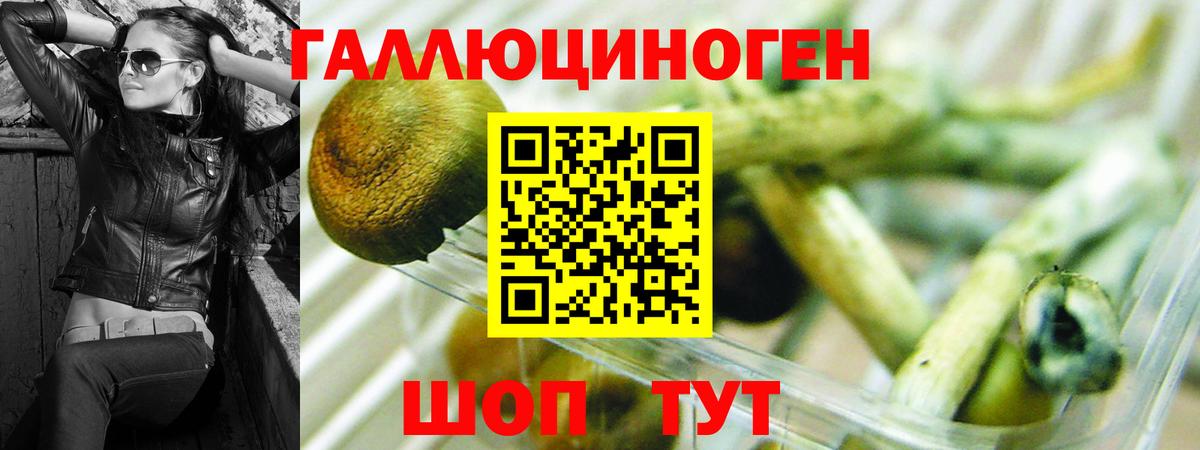 Псилоцибиновые грибы прущие грибы Алатырь